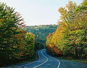 《GTA6》或将引发游戏价格上涨 CDPR：我们会受益的